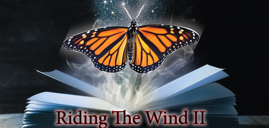 Darkwood woodcarving Splash Of Colour III